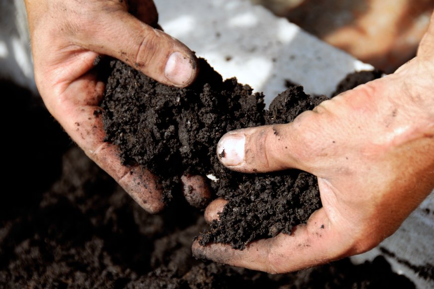 a person holding soil