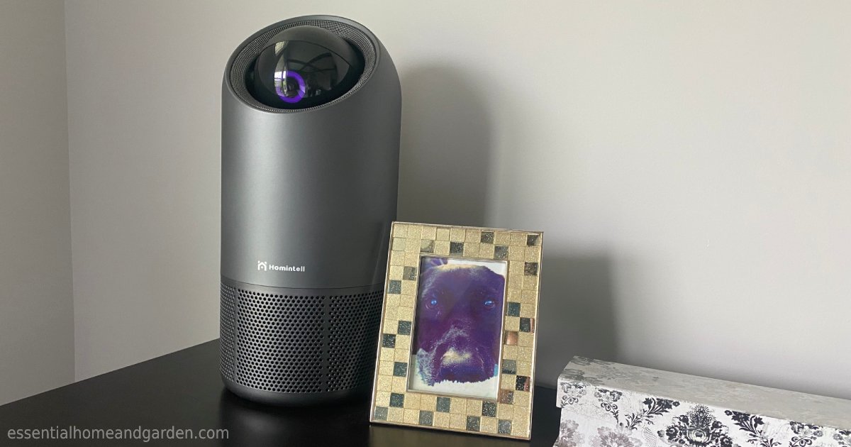 EdenPure OxiLeaf II Thunderstorm Air Purifier Review Essential Home