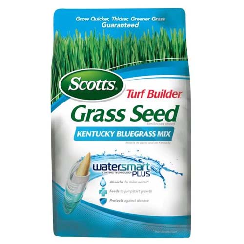 Photo showing a bag of Scotts Turf Builder Grass Seed Kentucky Bluegrass Mix