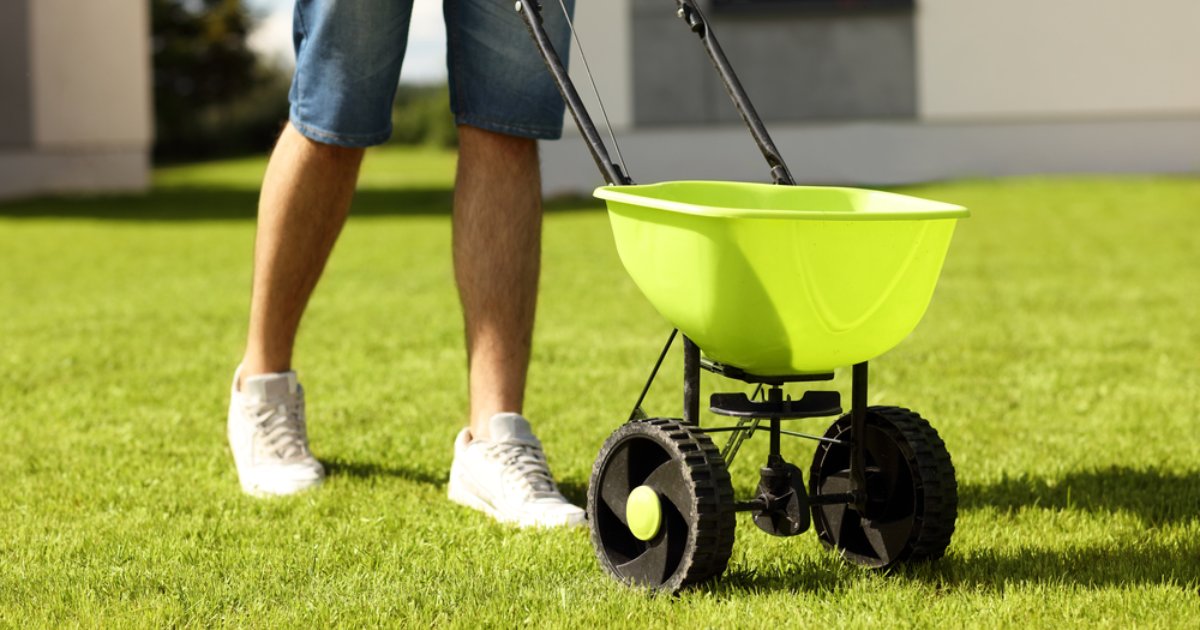 man using a lawn spreader to overseed