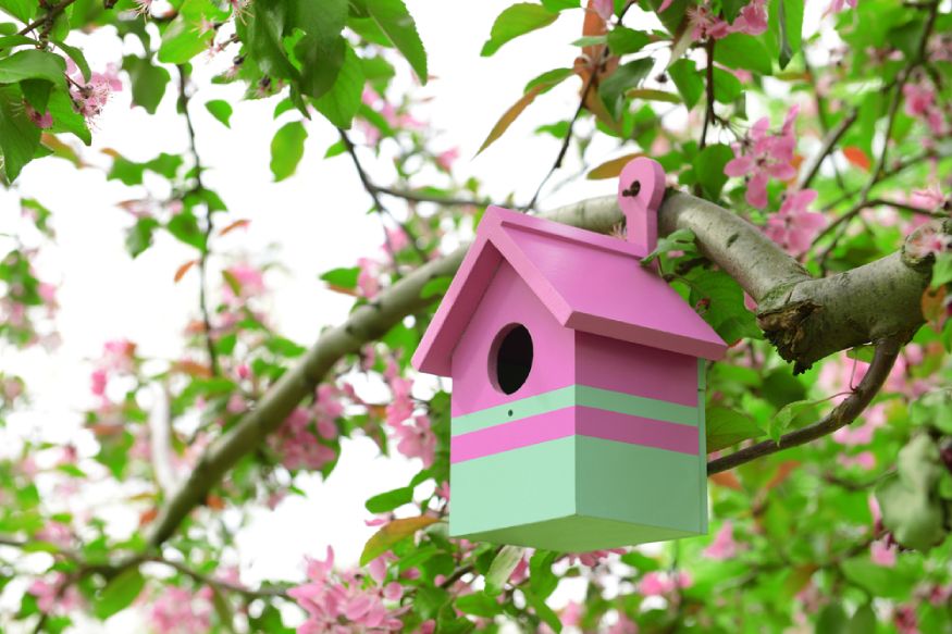 picture of a pink birdhouse in the garden