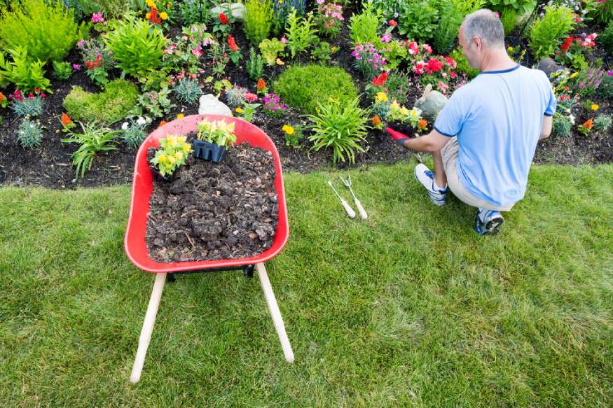 a gardener adding new plants