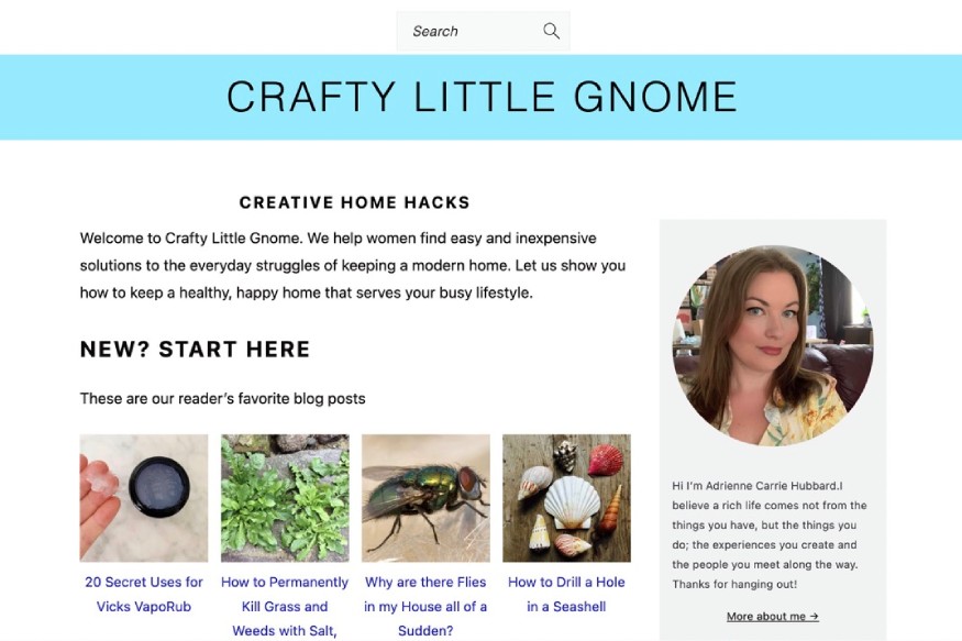 Photo showing the homepage of Crafty Little Gnome's website. 