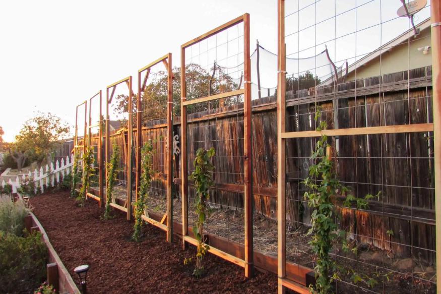 Garden with wooden trellis.