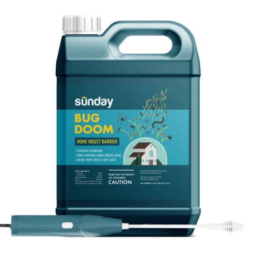 Sunday Lawn Care Bug Doom