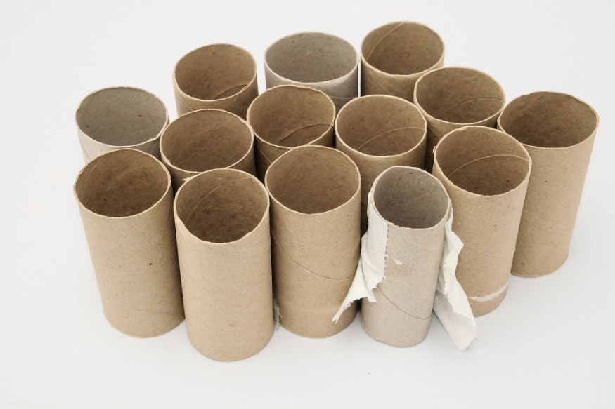 empty toilet rolls on a white background