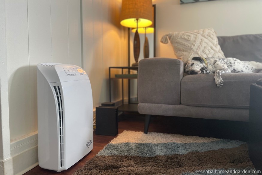 MSPure MSA3 Air Purifier in the living room