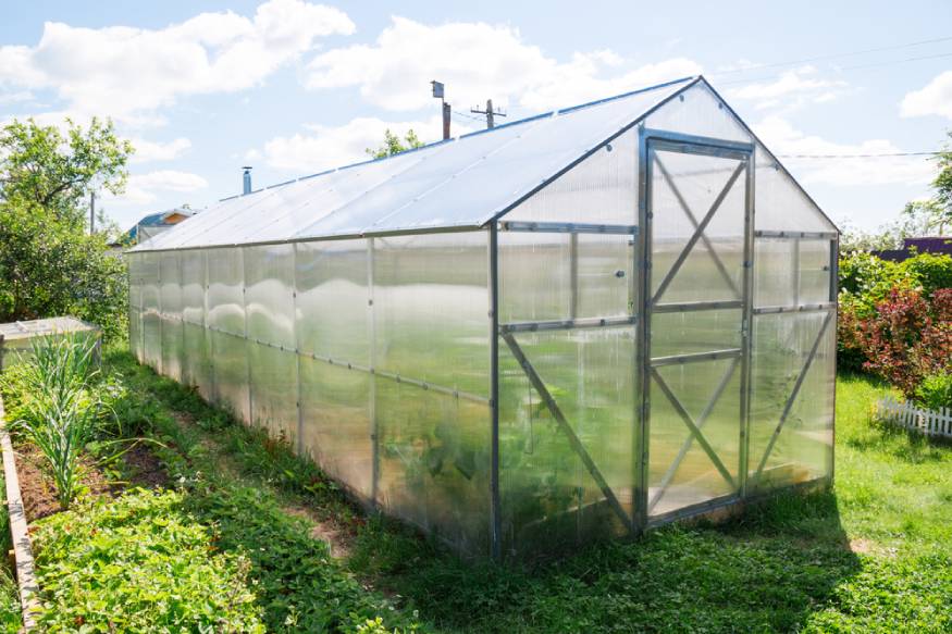 greenhouse with a triangular roof