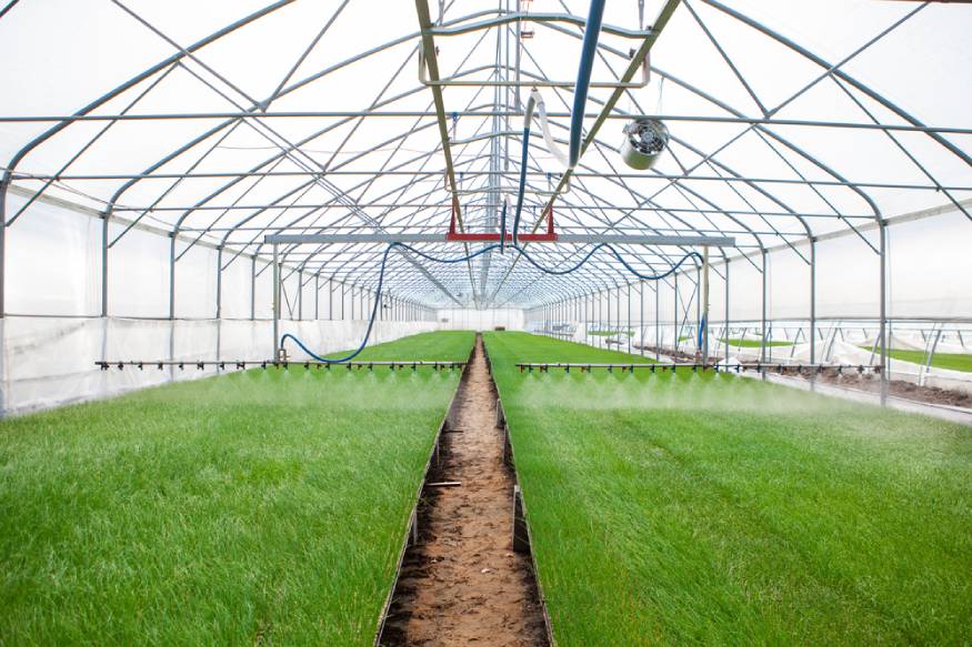 commercial greenhouse with automatic irrigation system