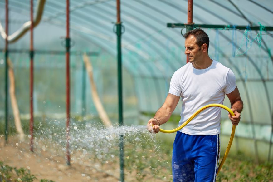 gardener watering the greenhouse flooring