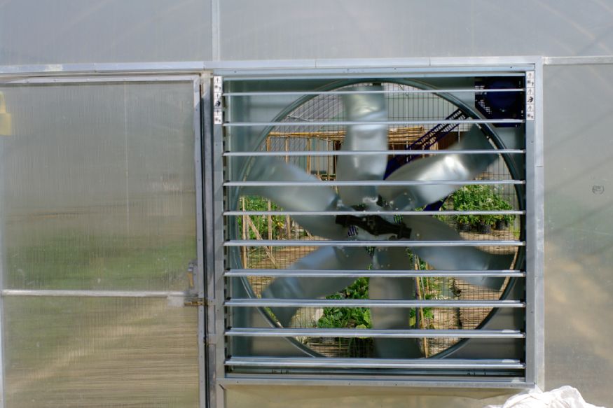 greenhouse with an exhaust fan