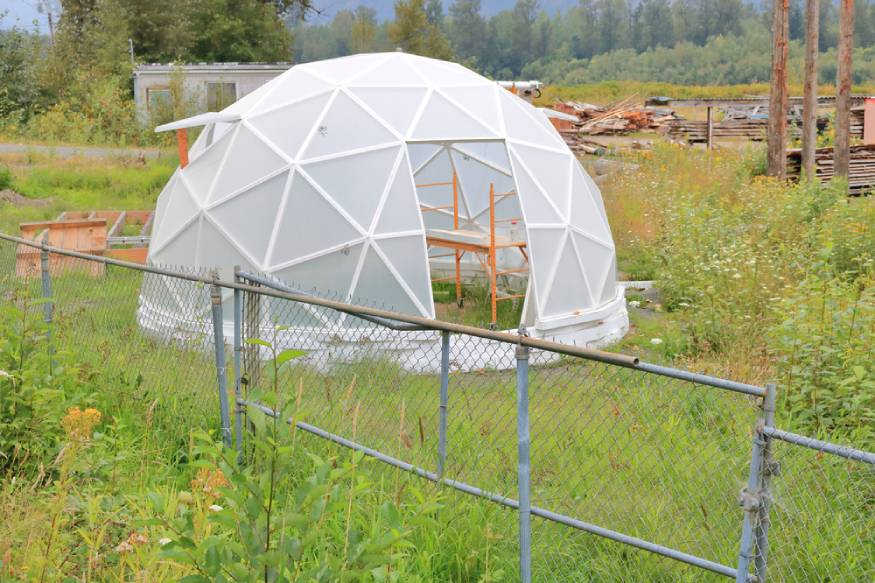 geodesic greenhouse with vinyl cover