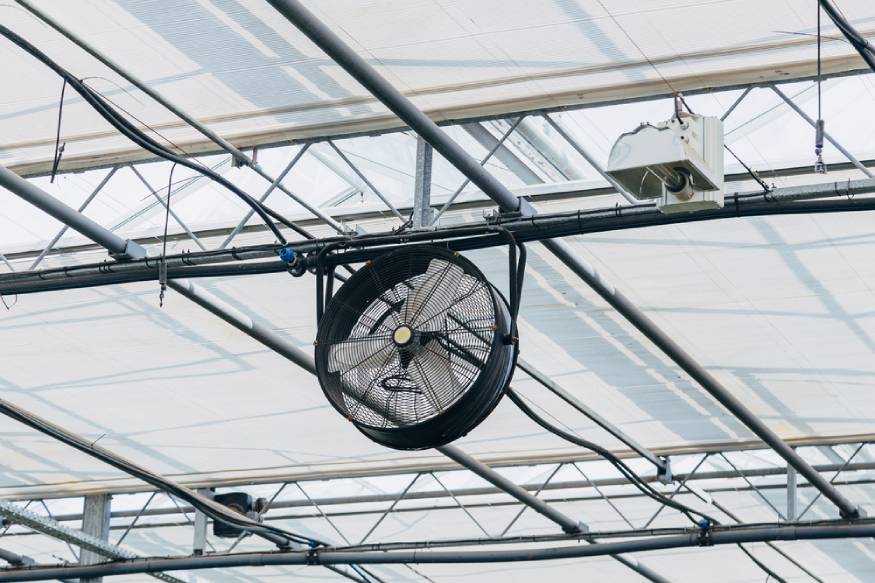 greenhouse with a ceiling mounted exhaust fan