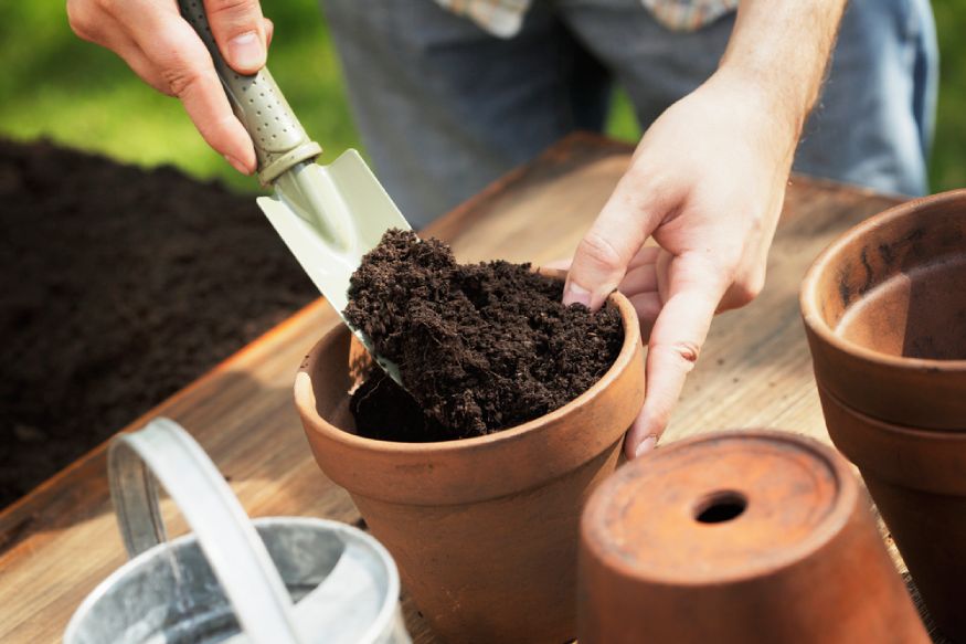 gardener putting the wrong soil mix in a clay pot