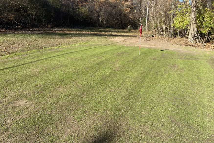 bentgrass on a home putting green