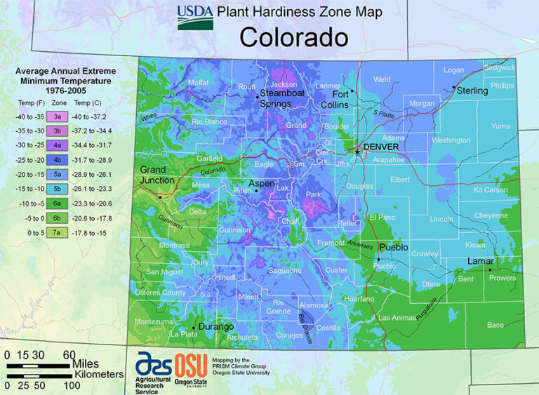 The Best Grass For Colorado Lawns