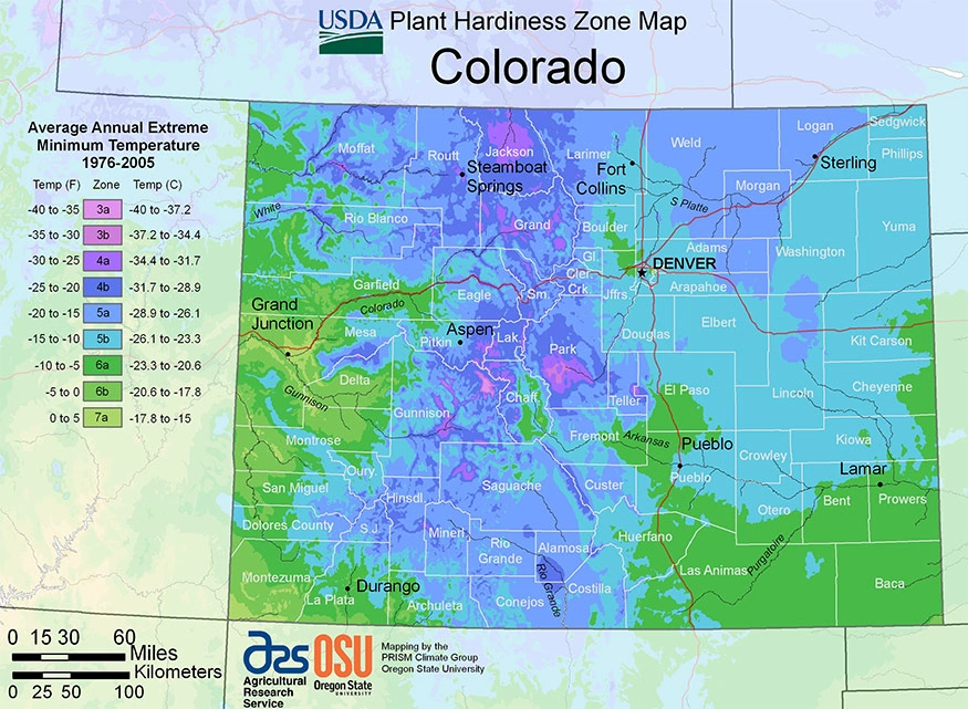 The Best Grass For Colorado Lawns