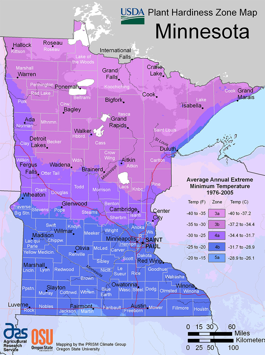 Minnesota USDA hardiness zone map