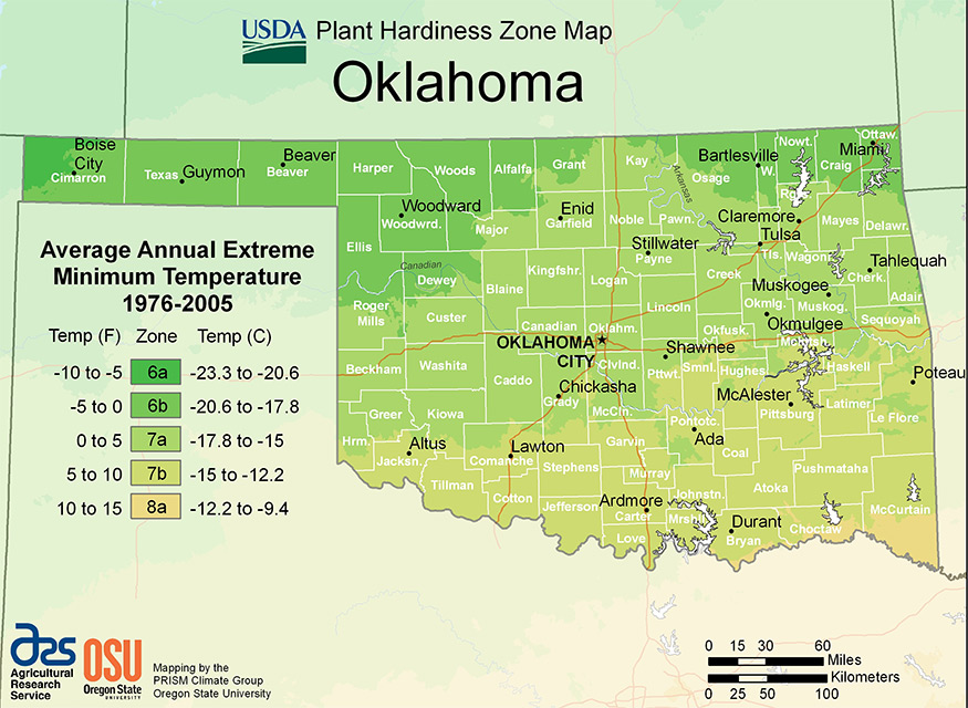 Oklahoma USDA hardiness zone map