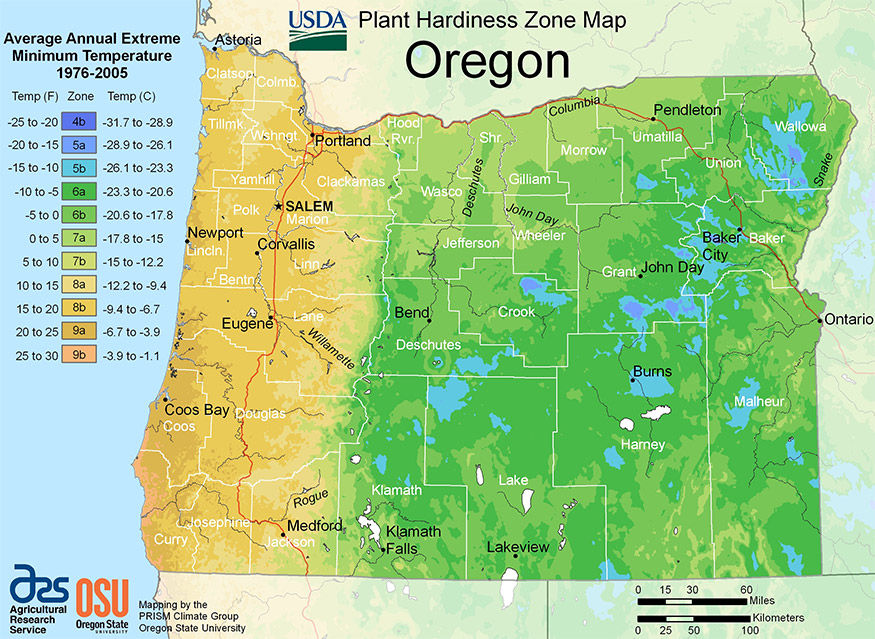 Oregon USDA hardiness zone map