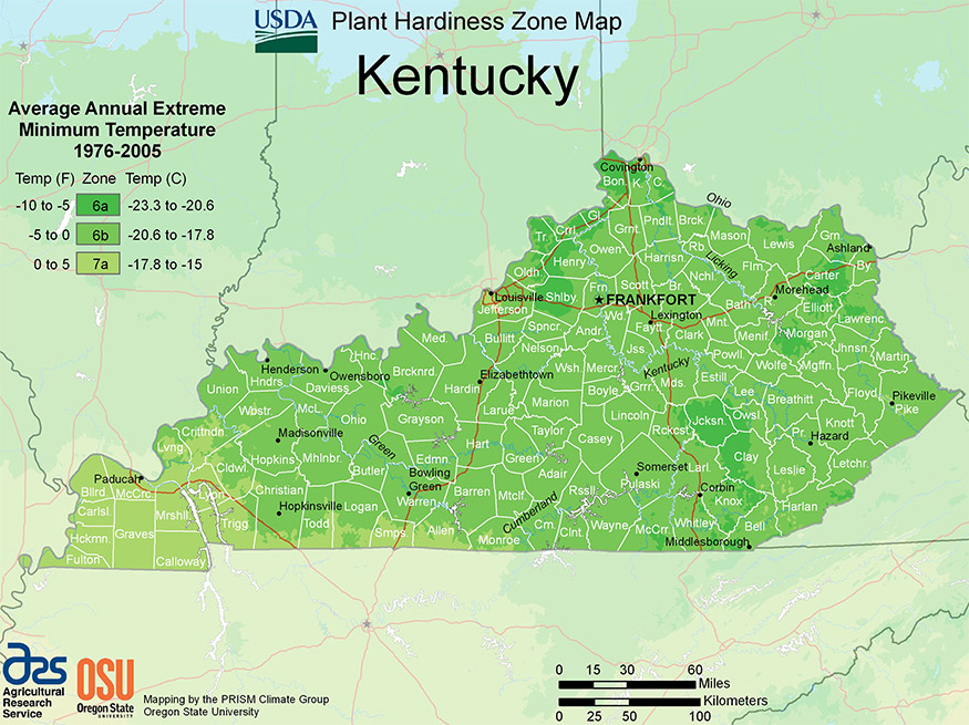 kentucky USDA hardiness zone map