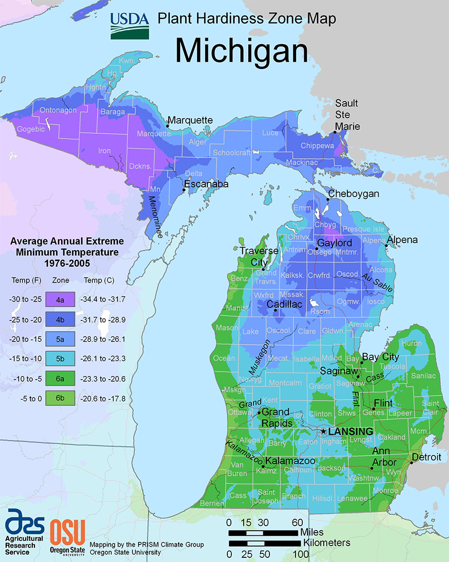 Michigan USDA plant hardiness zone map