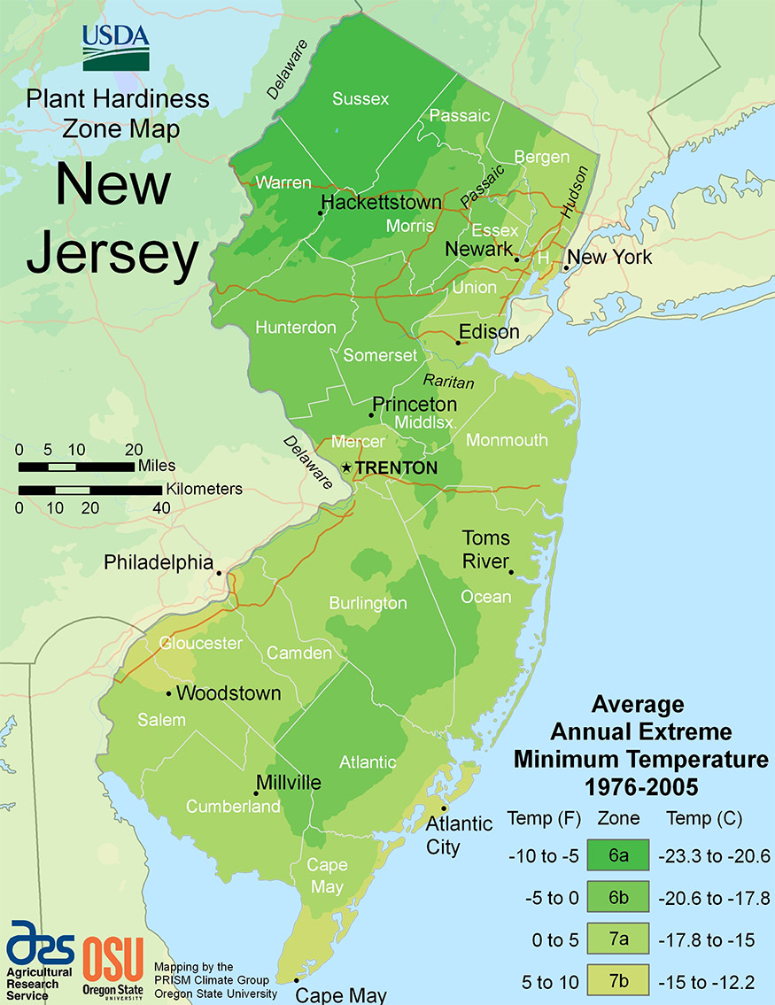 new jersey USDA hardiness zone map