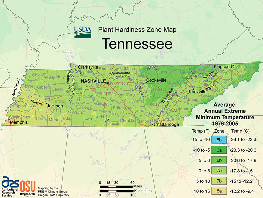 tennessee USDA plant hardiness zone map