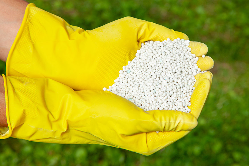 man holding lawn fertilizer in hands with gloves