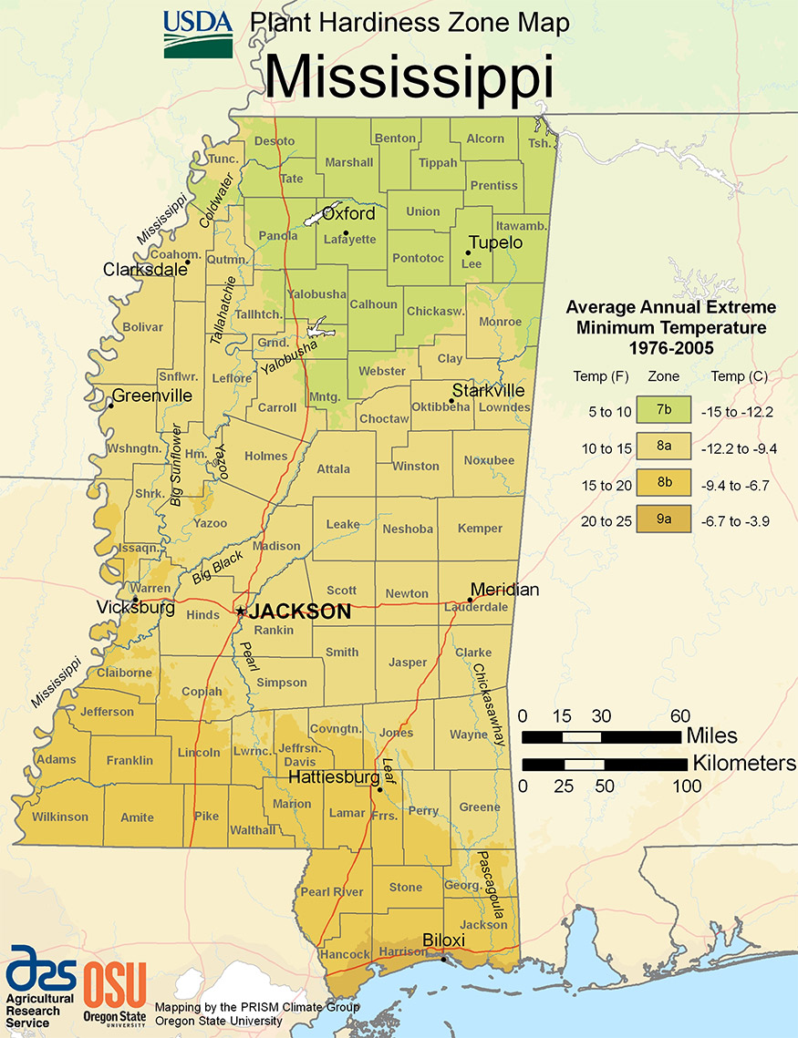 mississippi USDA hardiness zone map