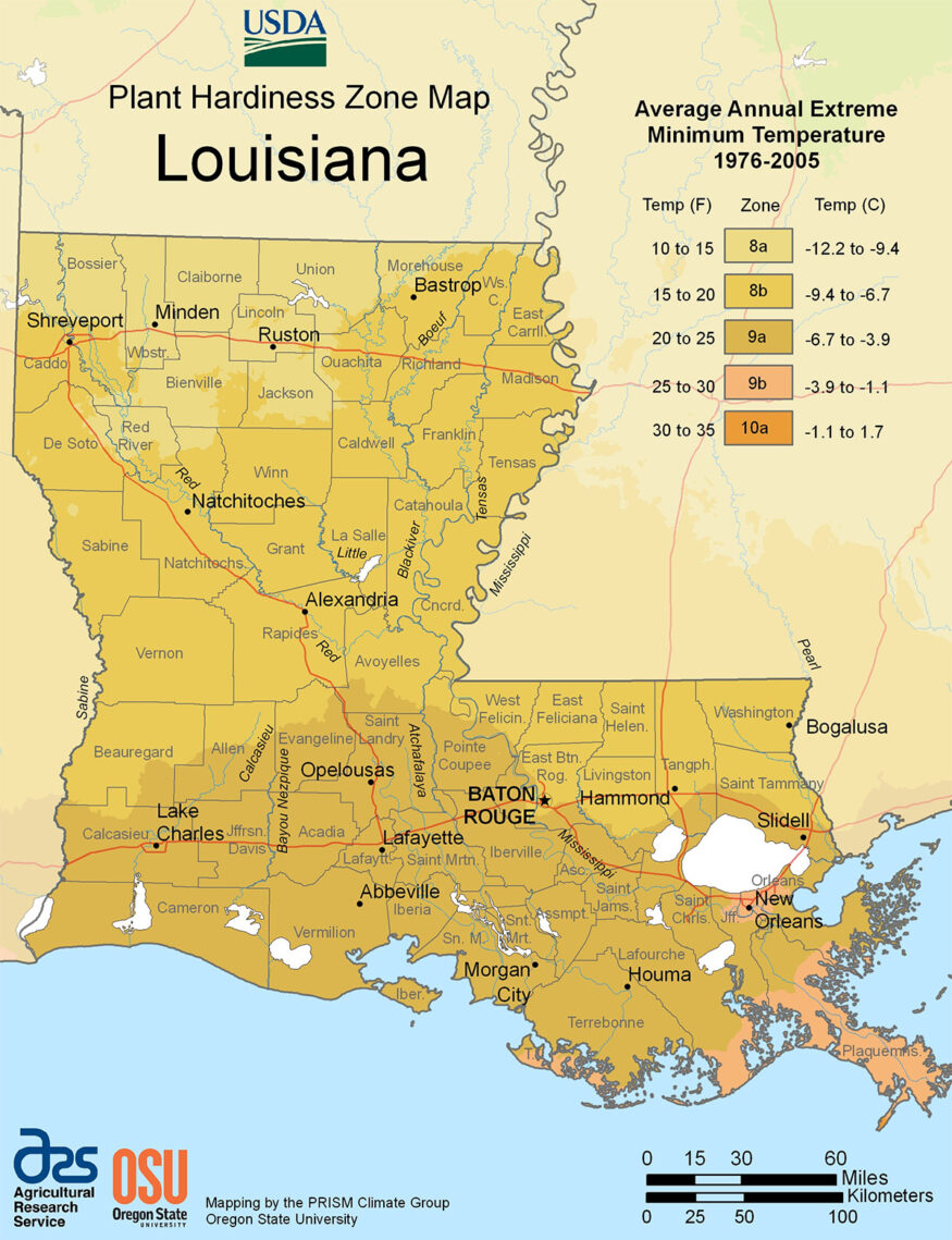louisiana USDA hardiness zone map