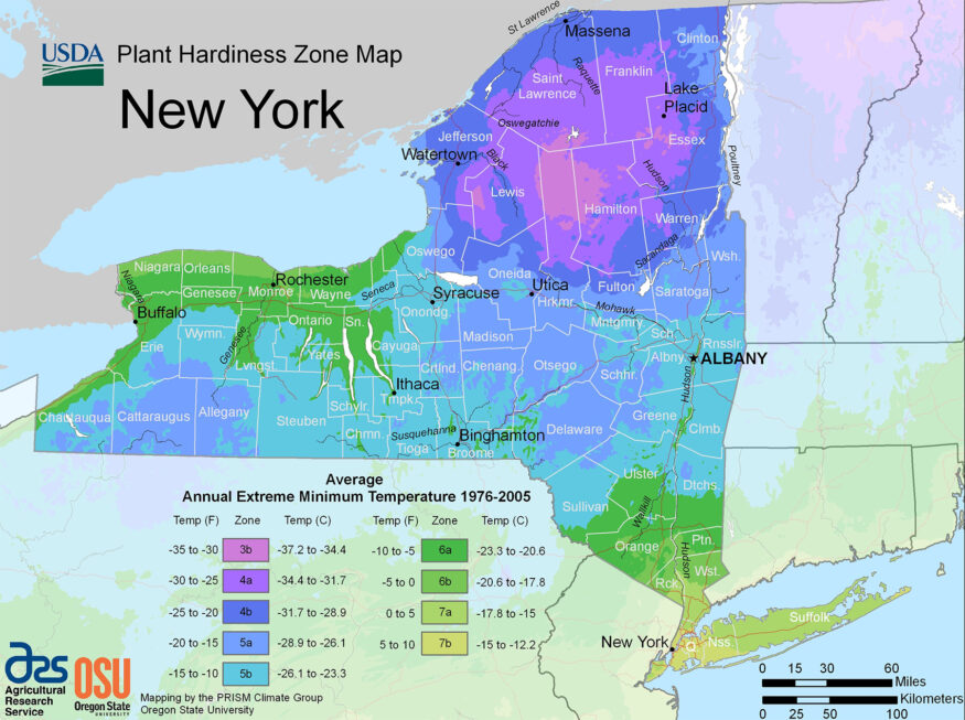 new york USDA hardiness zone map