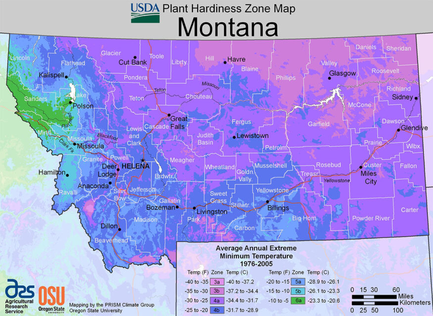 Montana USDA hardiness zone map