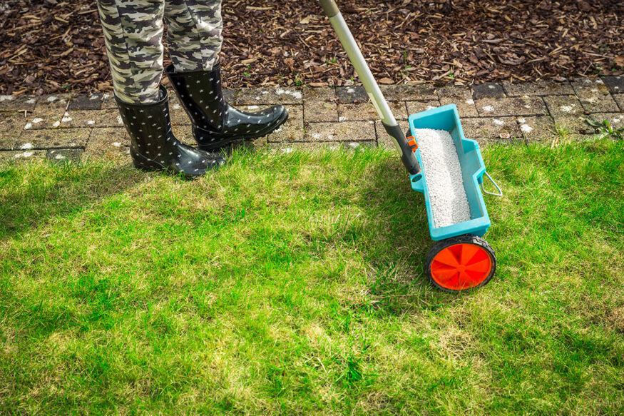 fertilizer being applied to grass with a fertilizer spreader