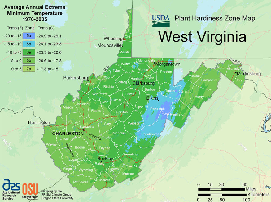 West virginia plant hardiness zone map.