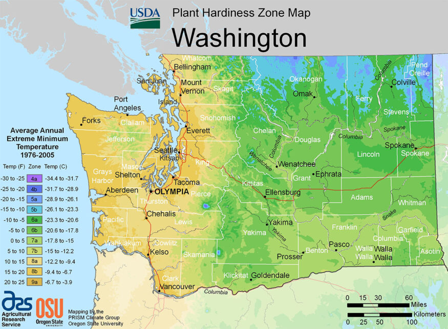 Washington plant hardiness zone map.