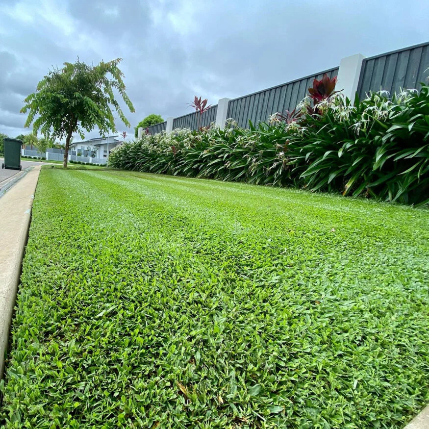 Grass Seed Types By State Essential Home And Garden