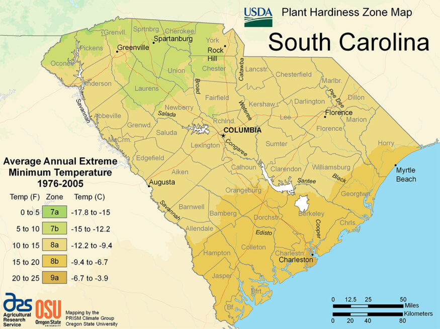 South carolina plant hardiness zone map.