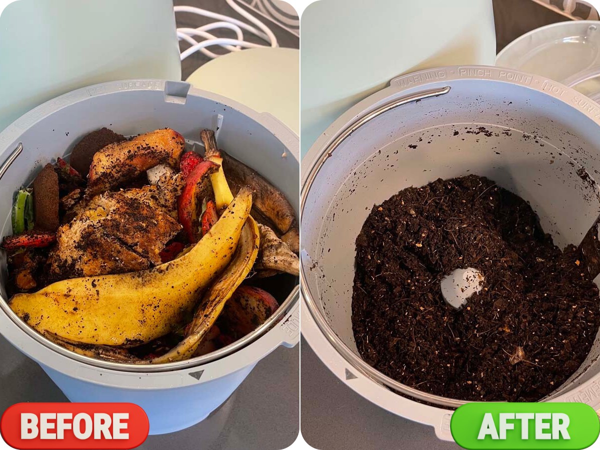 Lomi bloom food waste Before and after pictures