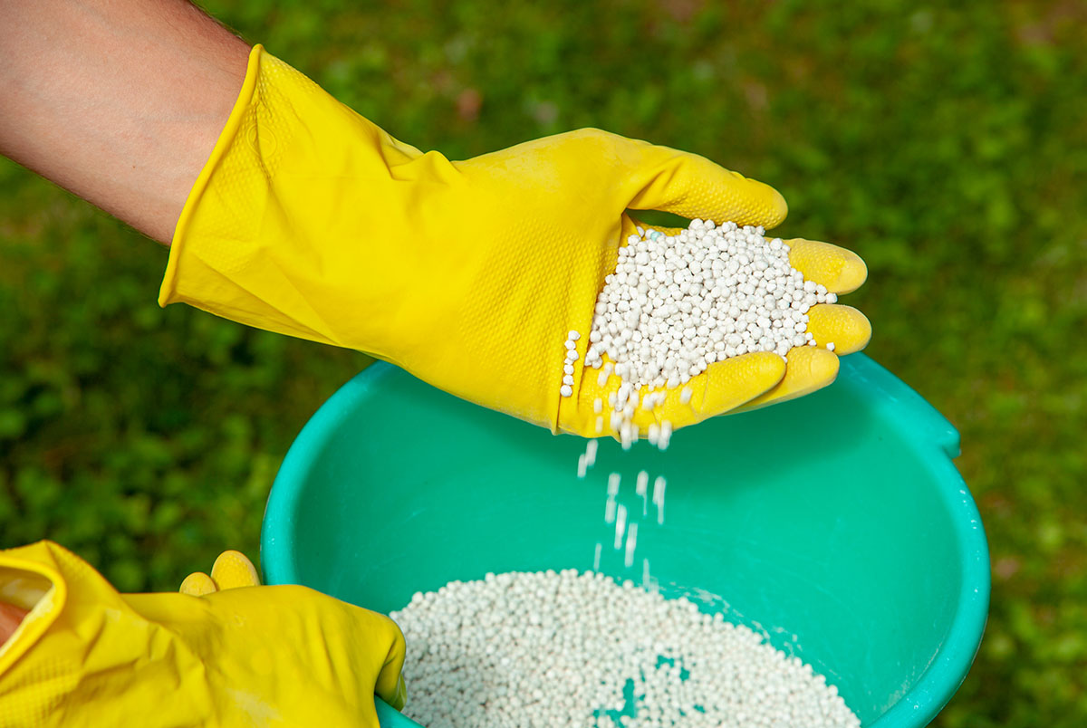 Lawn fertilizer being held by a gloved hand