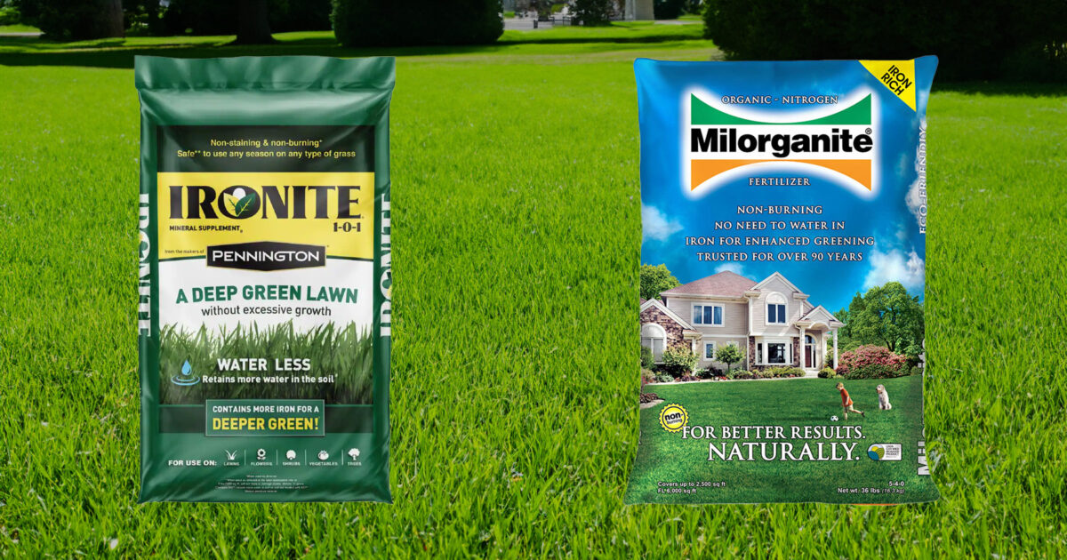 Two packages of lawn fertilizer on a lawn.