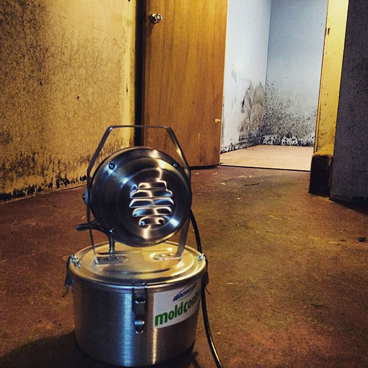 a mold fogger being set up with black mold in the background