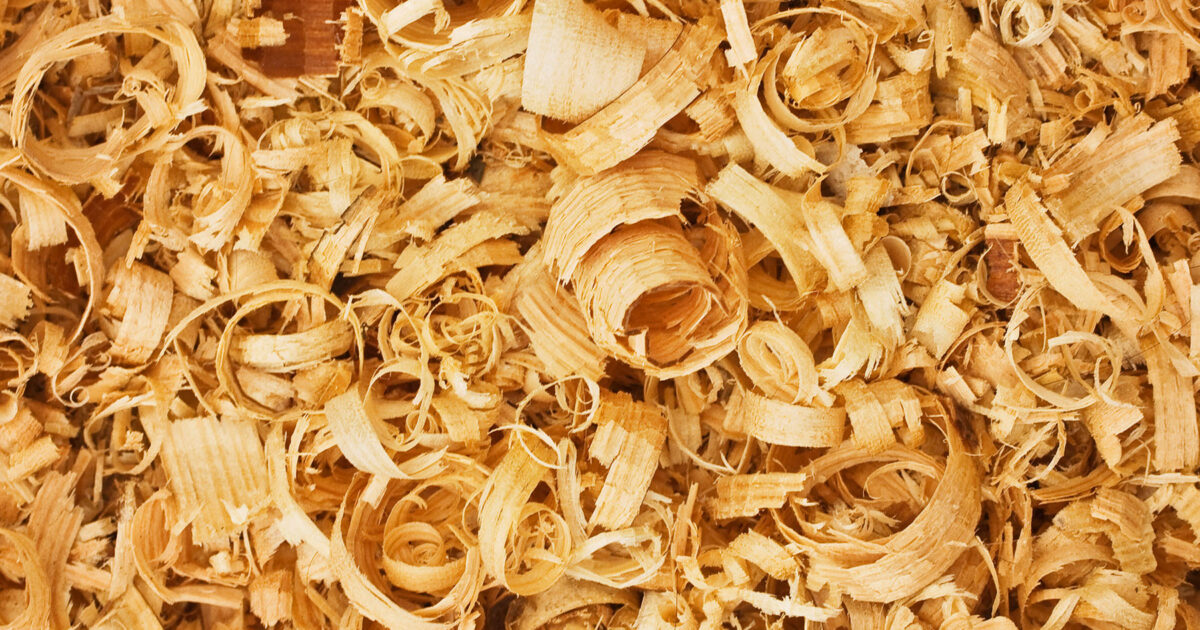 A close up of a pile of pine shavings