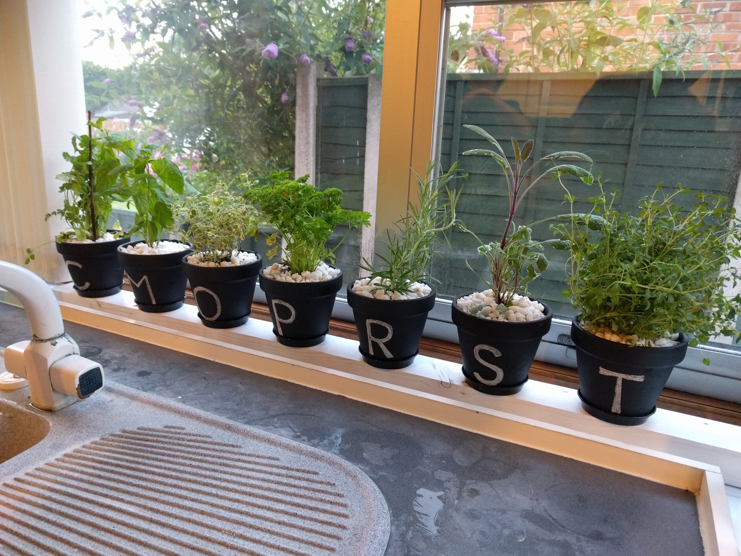 Seven potted herbs labeled with the letters C, M, O, P, R, S, and T sit on a windowsill above a kitchen sink. White pebbles cover the soil in each pot.