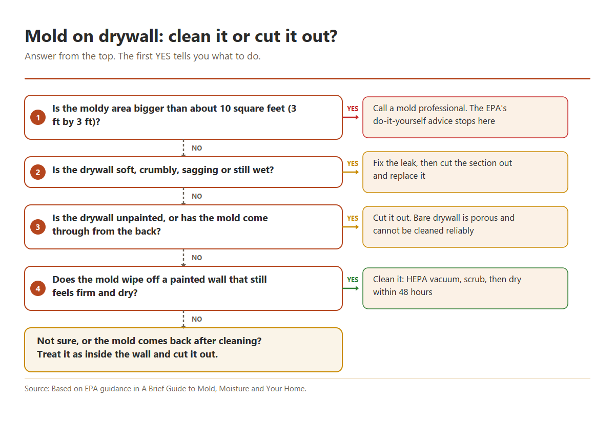 Flowchart: mold on drywall, clean it or cut it out. Over 10 square feet call a professional; soft, wet or unpainted drywall is replaced; mold on firm painted drywall is cleaned